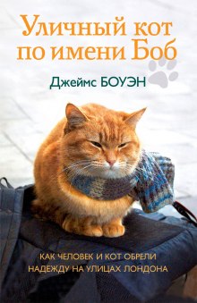 Уличный кот по имени Боб